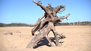 Cauce seco del río Paraná, en Rosario, Argentina. 