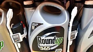 Roundup isimli zirai tarım ilacı