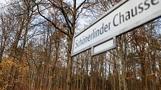 Parts of the victim's body were found in wooded area in north Berlin