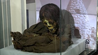 نوستا دختر اینکایی مومیایی شده به سافی تغییر نام داد 