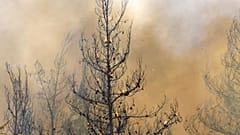 Internationale Helfer im Einsatz gegen Waldbrände in Griechenland