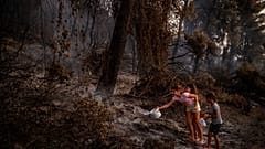 La antigua Olympia y la isla de Eubea centran los esfuerzos de los bomberos en Grecia