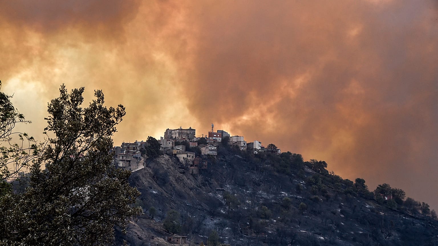 Une colline brûlée en Kabilie, Algérie le 11 août 2021
