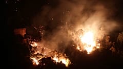 Wälder brennen in Algerien, Italien, Griechenland, der Türkei