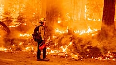 High temperatures, flooding, and food droughts will keep affecting vulnerable countries as the climate crisis progresses