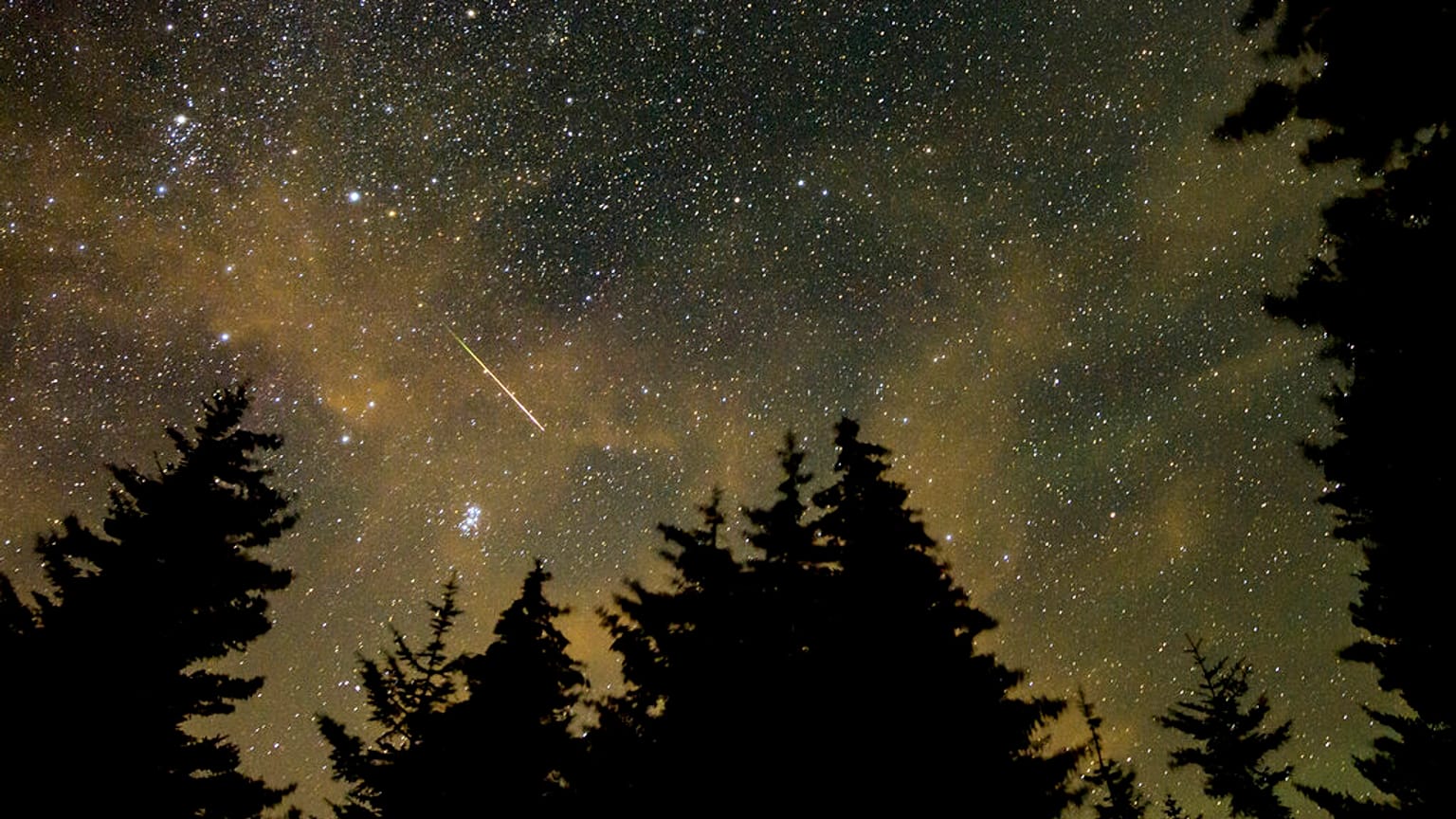 Foto der Perseiden - aufgenommen in West Virginia