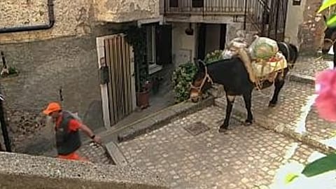 جمع‌آوری زباله با استر در ایتالیا