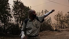 Incêndios na Argélia