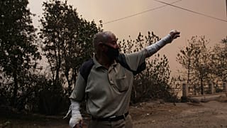 Incêndios na Argélia