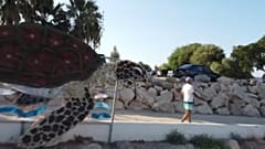 Praias sem plástico