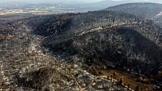 Πυρκαγιές στην Αγιά Άννα, Εύβοια