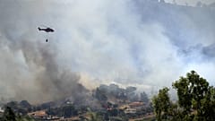 Neues Feuer nahe Athen, westlich von Jerusalem brennt der Wald