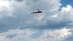 27 Meter nach unten: Wasserspringer messen sich in Oslo