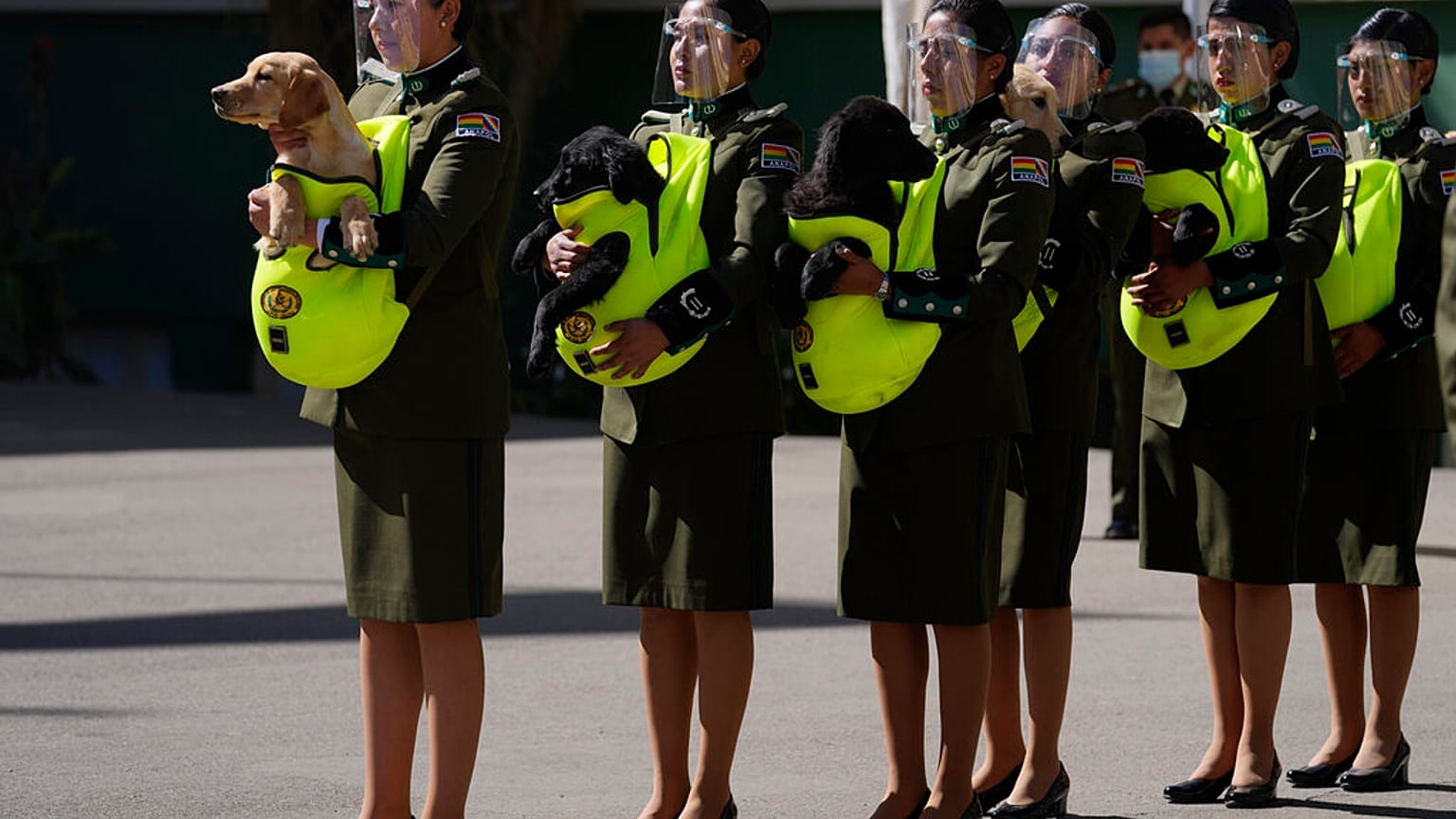 Bendición de los animales con motivo de San Roque en la Academia Nacional de Policía en La Paz (Bolivia)