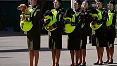 Bendición de los animales con motivo de San Roque en la Academia Nacional de Policía en La Paz (Bolivia)
