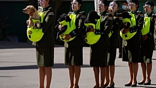 Bendición de los animales con motivo de San Roque en la Academia Nacional de Policía en La Paz (Bolivia)
