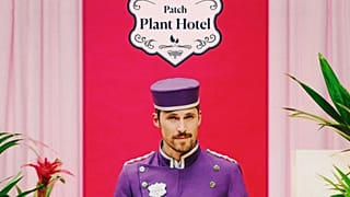 Welcome to the Patch Plant Hotel: the perfect getaway for your greeneries