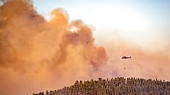 Costa del Sol: Wald steht in Flammen