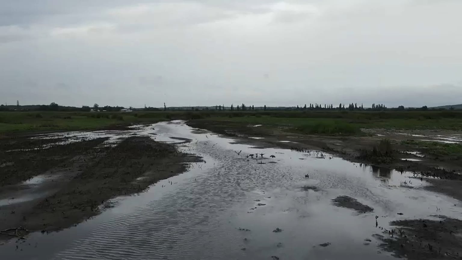 Lago Velence, en Hungría, afectado por las graves sequías.