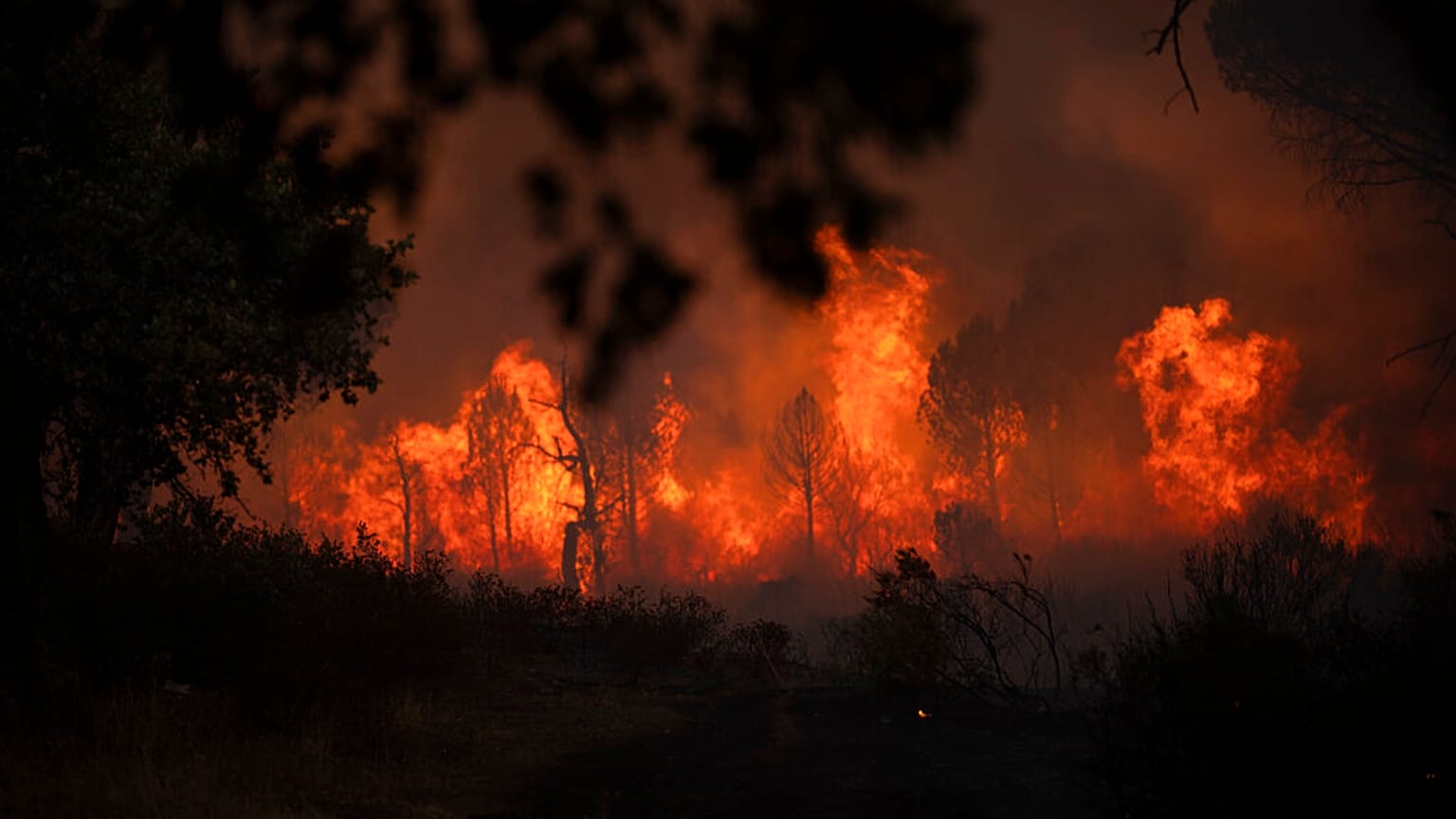 L'incendio vicino Le Luc nel sud della Francia