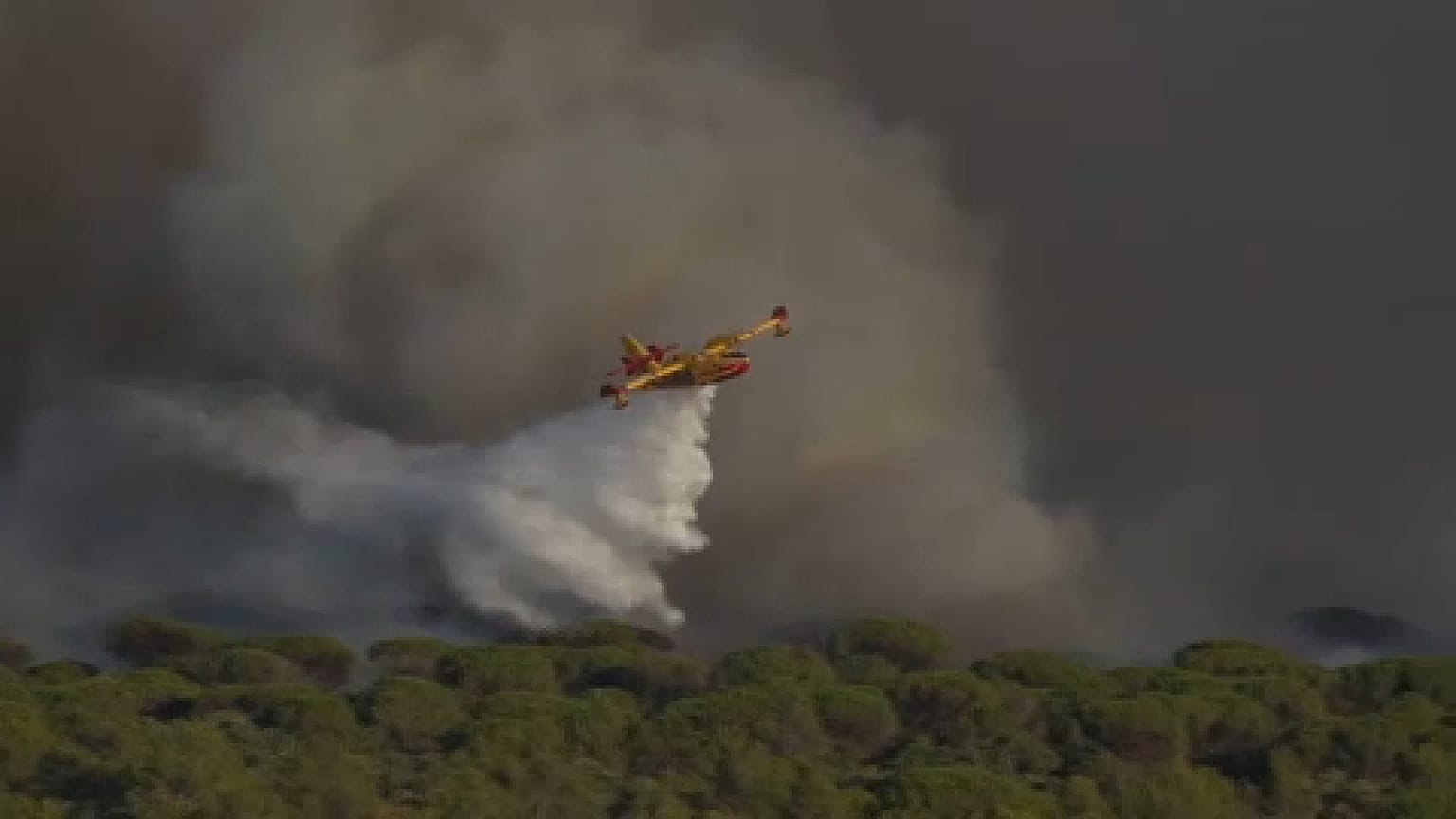 Un avión cisterna trabaja en las tareas de extinción en Saint-Tropez, Francia. 