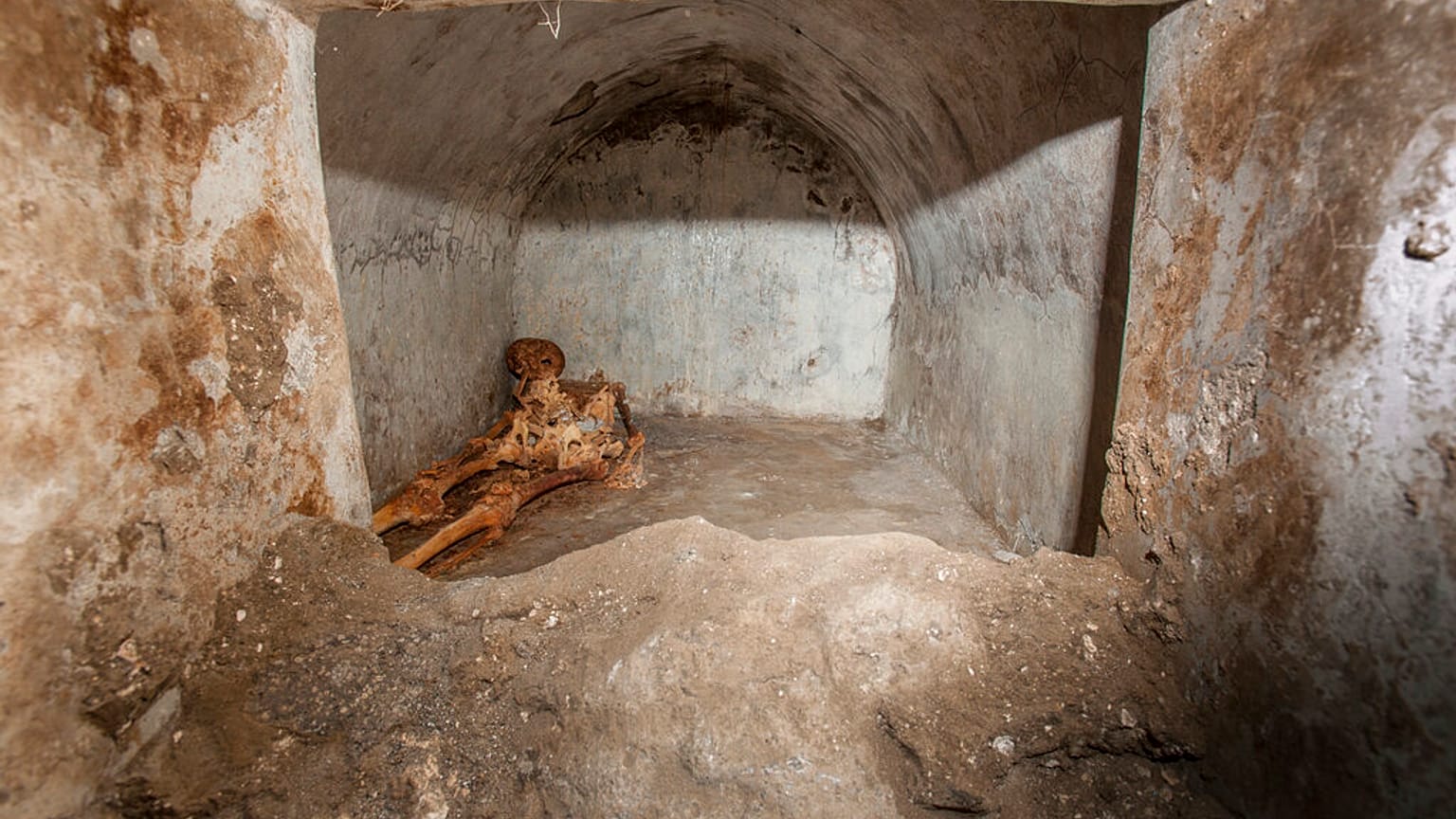 Pompeii'de yapılan kazılarda çok iyi korunmuş bir insan iskeleti bulundu
