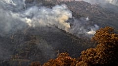 السيطرة على جميع الحرائق في الجزائر