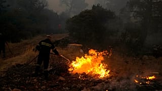 Μάχη με τις φλόγες στα Βίλια