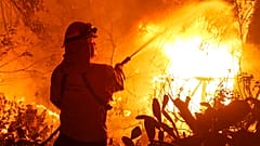 Californie : deux incendies ravagent le nord de l'Etat 