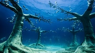 The 93 sculptures will attract sea creatures and transform into an artificial reef. 