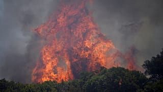De violents feux ravagent plusieurs régions du monde, surtout en Europe du sud