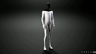 Tesla Bot
