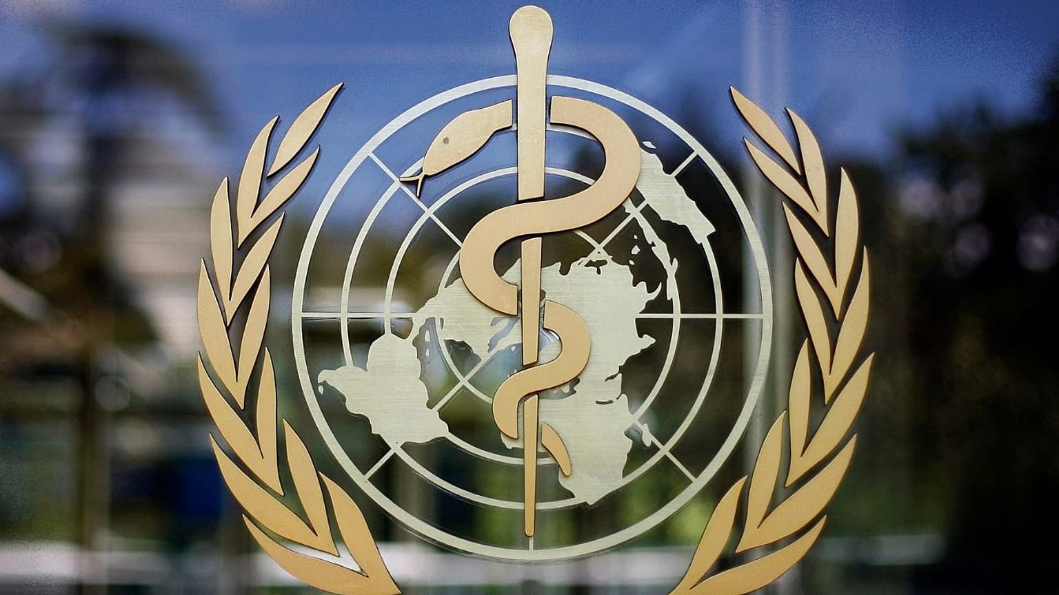 سازمان جهانی بهداشت