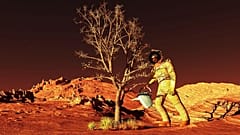 كيف سيبدو المريخ إذا زرعنا نباتات على سطحه؟