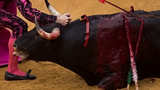 مهرجان كوربوس لمصارعة الثيران في حلبة مصارعة الثيران في غرناطة في 18 يونيو 2021.