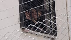 La expresidenta interina de Bolivia, Jeanine Anez, saluda desde una ventana de la cárcel de mujeres de Miraflores en La Paz, Bolivia, el 18 de agosto de 2021. 