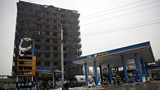 عکس تزئینی است