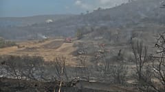 Weiter lodern Waldbrände in Griechenland 