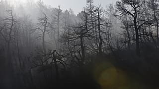 Πυρκαγιά Βίλια