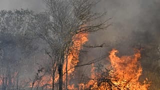 منظر لحريق غابة في سان ماتياس، منطقة تشيكيتانيا، مقاطعة سانتا كروز، بوليفيا، 20 أغسطس 2021