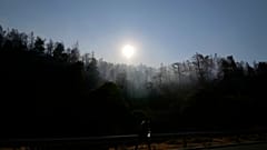 καμένη δασική έκταση