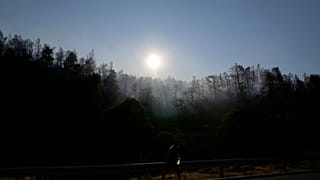 καμένη δασική έκταση