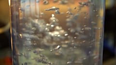 Das Regenwasser-Experiment