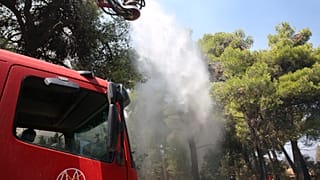 ΕΙΚΟΝΑ ΑΡΧΕΙΟΥ