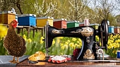 There are so many options of small changes to make to move towards self-sufficiency