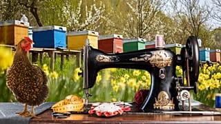 There are so many options of small changes to make to move towards self-sufficiency