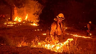 Pompiers engagés contre les flammes dans la forêt nationale de l'Eldorado, près de Sacramento (Californie), le 26/08/2021