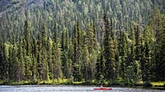 ARCHIVO - Un remero en el lago Kesanki, en Akaslompolo, Kolari, Laponia, norte de Finlandia, jueves 7 de julio de 2021. 