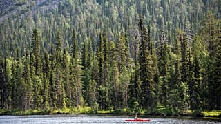 ARCHIVO - Un remero en el lago Kesanki, en Akaslompolo, Kolari, Laponia, norte de Finlandia, jueves 7 de julio de 2021.