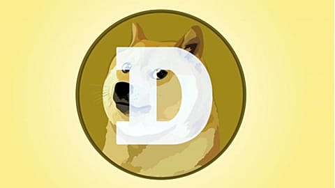 A scammer has allegedly managed to steal $119 million (€100 million) from investors in Turkey by promising massive returns from Dogecoin mining